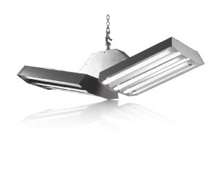 General area light distribution induction High-Bay available with 4 Biax lamps.